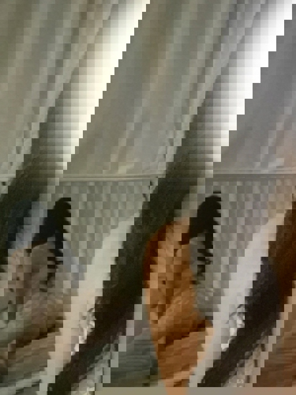 Pulunt〜プルント|ここ