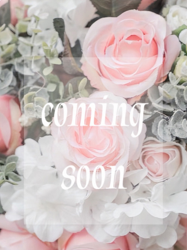 一宮メンズエステ FINALE