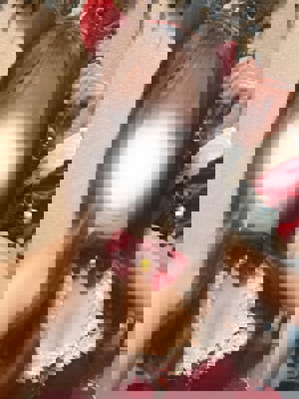 Pulunt〜プルント|りり