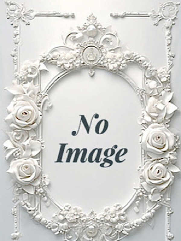 Platinum（プラチナム）丸の内ルーム|体験入店