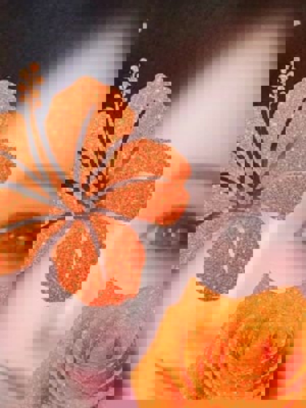 LAESSE：ラエッセ|エリナ