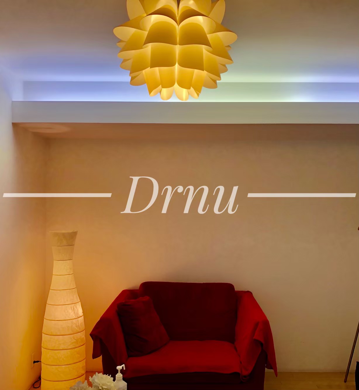 Drnu ・ドクターヌ