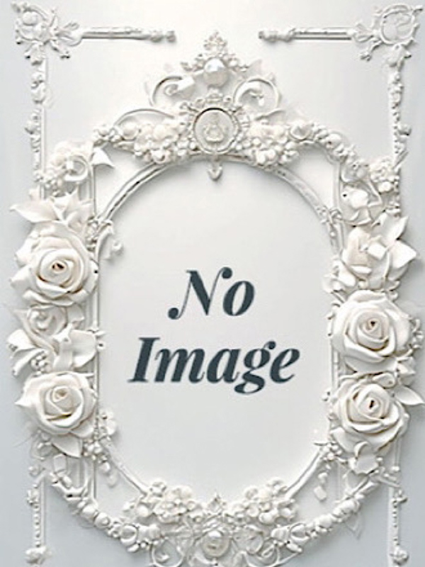 Platinum（プラチナム）丸の内ルーム|体験入店