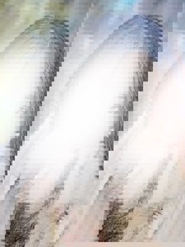 LAESSE：ラエッセ