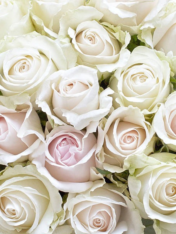 成増メンズエステGRACE-グレイス|水沢華