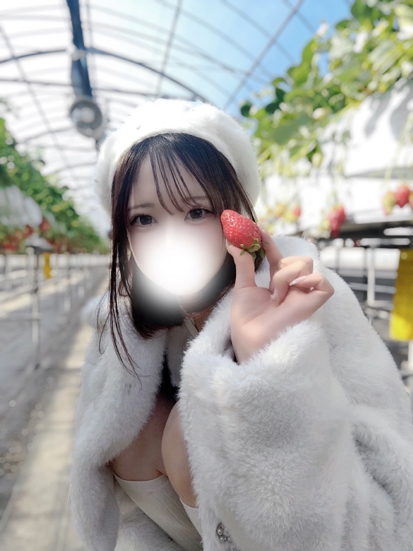 なでしこ|いろは