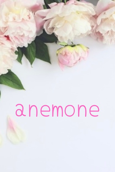 anemone(アネモネ)|あやはさん