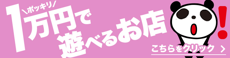 1万円ポッキリ