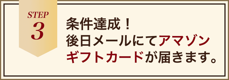 3.条件達成！後日メールにてアマゾンギフトカードが届きます。